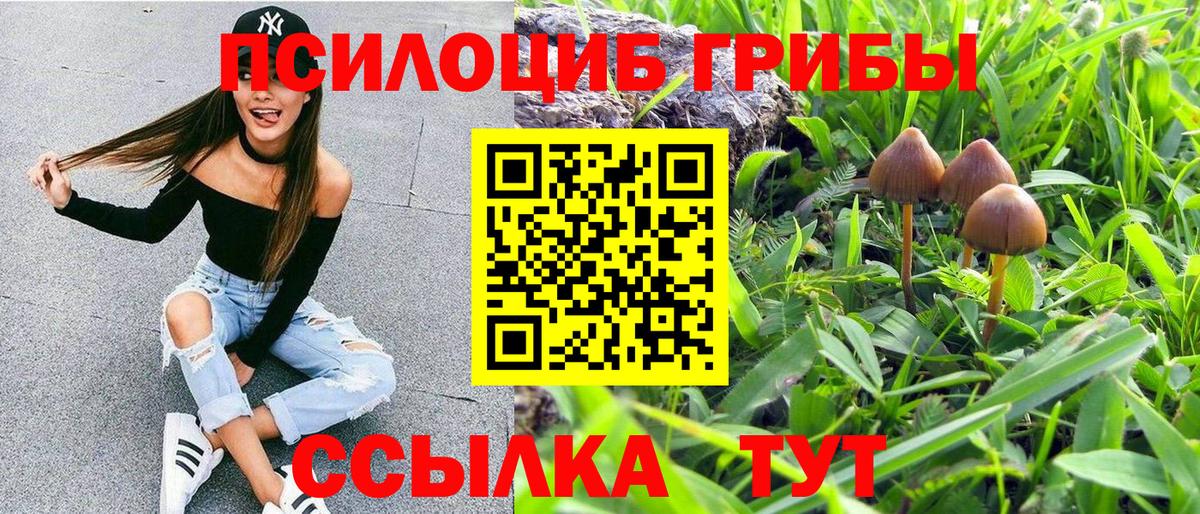Псилоцибиновые грибы ЛСД  Вход с VPN  Галлюциногенные грибы Psilocybe  Аксай 